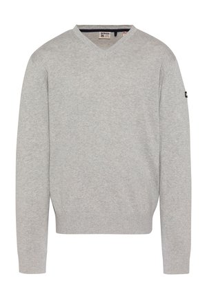 Maglione in maglia grigio chiaro con scollo a V, maniche lunghe, polsini e orlo a coste, e una piccola toppa con il logo sul braccio sinistro.
