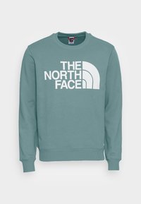 Ljus teal crewneck sweatshirt i bomull, med en stor vit logotryck "THE NORTH FACE" och en böjd accentdesign.