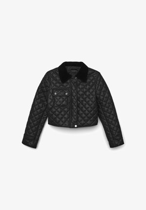 Black quilted leather jacket with a cropped design, snap-button closure, one chest pocket, and a black velvet collar.