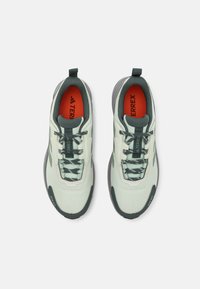 Adidas Terrex ANYLANDER - Chaussures de marche - linen green/silver green/legend ivy