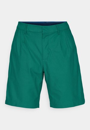 Vihreät shortsit, jotka on valmistettu sileästä kankaasta. Niissä on tasainen etuosa, kaksi etutaskua ja klassinen istuvuus suoran lahkeen muotoilulla.