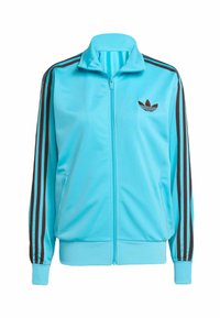 FIREBIRD - Sportovní bunda - blue glow   auburn