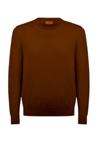 Maglione marrone a maglia con collo rotondo, maniche lunghe e orlo a coste. Tessuto liscio e cuciture uniformi in tutta la superficie. Nessun motivo o dettaglio aggiuntivo.