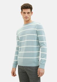 TOM TAILOR GESTREIFT MIT GERIPPTEN RUNDHALS - Trui - blau