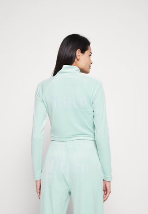 COLOURBLOCK CROPPED TRACK  - Mikina so zipsom - greyed jade