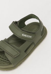 Green water-friendly sandal with adjustable straps, textured insole, and cut-out design. Features logo “GEOX” on the side.
