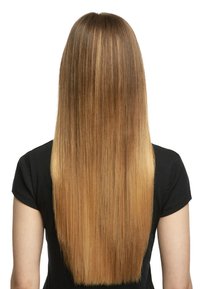 Lang, steil haar met een verloop van donkerbruin bij de wortels tot lichtblond aan de punten, bekeken vanaf achteren, tegen een witte achtergrond.