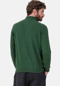 Grüner Strickpullover mit hohem Kragen und langen Ärmeln, ausgestattet mit einem strukturierten Stoff. Der Saum ist gerippt und sorgt für eine enge Passform.