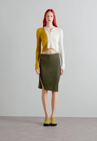 ECKHAUS LATTA FLUTED SKIRT - Puzdrová sukňa - lichen