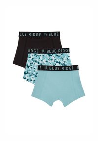 WE Fashion BLUE RIDGE - Hlačke - light blue