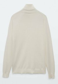 Pull beige à col roulé à manches longues avec col, poignets et ourlet côtelés, montré de dos sur un fond blanc uni.