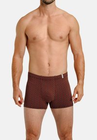 HAASIS Bodywear 1919 OHNE EINGRIFF 2ER PACK - Boxer Briefs - schwarz print
