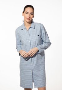 Blau-weißen karierter Hemdkleid mit langen Ärmeln, Frontknöpfen und einem gestickten dunklen Schleifendetail auf der Brust.