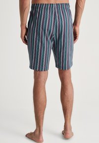 Zwemshorts voor heren met een gestreept patroon in teal, paars en wit. Voorzien van een elastische tailleband en een knielange snit.