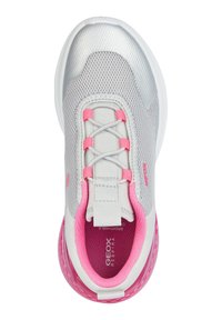 Szare siateczkowe sneakersy z różowymi akcentami, z okrągłym noskiem, sznurowanym zapięciem i wzorzystą, teksturowaną podeszwą. Logo widoczne po bokach.