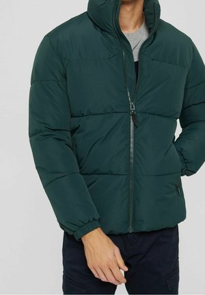 Vinterjakker - blue-grey