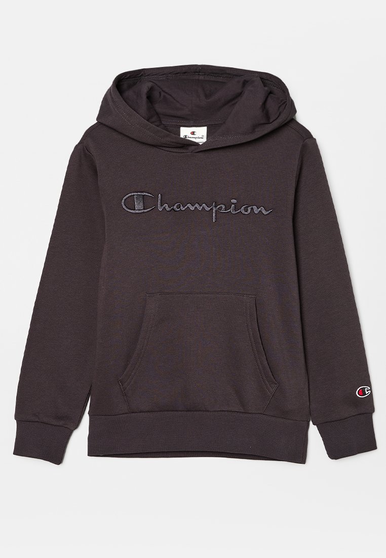 Champion Hoodie meerkleurig