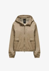 Non selezionato, sandshell