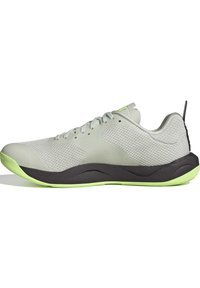 adidas Performance RAPIDMOVE TRAINER - Trainingsschoen - crystal jade/aurora black/green spark