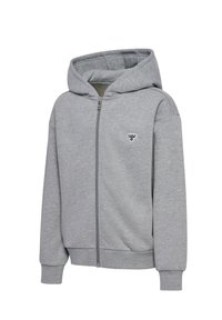 Grå zip-up hoodie gjord av mjukt tyg. Har en stor huva, ribbade ärmslut och en liten logotyp på bröstet. Slät struktur genom hela plagget.