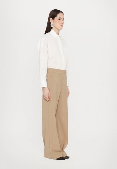 Cămașă albă cu nasturi și mâneci lungi, pantaloni bej cu picioare largi și pantofi negri. Modelul poartă cercei mari, din argint, care atrag atenția.