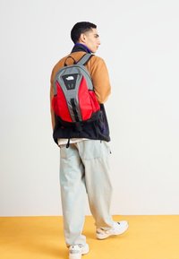 The North Face DAYPACK UNISEX - Mochila - smoked pearl/red