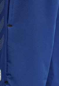 Blå sportshorts i ett mjukt, lättviktigt tyg. Har en tryckt design på sidan och svarta detaljer vid midjan.