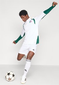 Valge jalgpallisärk roheliste aktsentidega, millel on Itaalia vapp. Valged lühikesed püksid ja sokid mustade triipudega. Jalgpall mustade tähtedega lähedal.