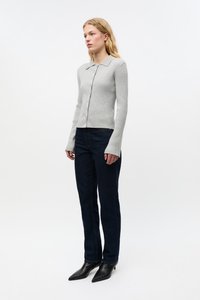 Envii NEVADA - Cardigan - grey