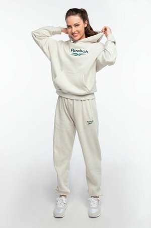 KAPTUREM CL F BIG - Hoodie - grey