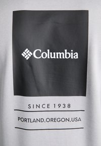 Columbia BARTON SPRINGS GRAPHIC  - Bluză de molton - grey heather