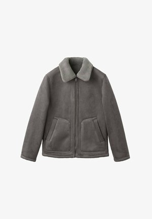 Grijze jas van imitatie-suède met een zachte grijze kraag, twee voorzakken en een ritssluiting. Gladde textuur en een ontspannen silhouet.