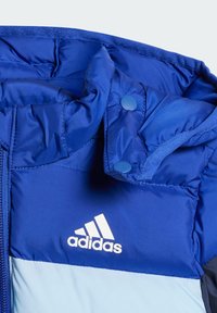 adidas Performance UNISEX - Vinterjakke - semi lucid blue clear sky legend ink