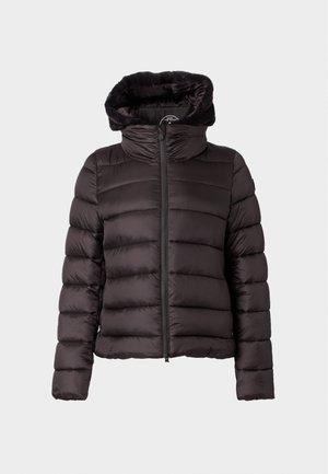 Save the duck, RIKA - Veste d'hiver - brown