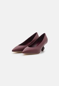 Escarpins en cuir bordeaux à bout pointu, dotés d'un talon arrondi unique et d'une finition lisse. L'intérieur présente une doublure sombre contrastante.