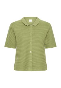 Non sélectionné, iguana