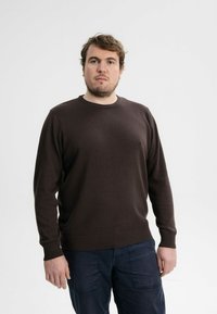 MELA HIMAL - Strickpullover - dunkelbraun