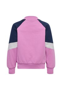 Sweat-shirt violet avec des accents marine et gris, présentant un col rond, des manches raglan et des poignets côtelés, vu de dos.