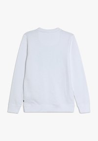 Felpa bianca con maniche lunghe, colletto rotondo e trama liscia. Nessun motivo visibile o dettagli in metallo.