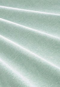 TOM TAILOR HENLEY - Camiseta de manga larga - offwhite green stripe