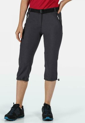 Pantaloncini sportivi - seal grey