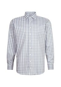 Camicia a maniche lunghe con bottoni in bianco e azzurro a quadri, con colletto a punta e taschino sul lato sinistro del petto. Materiale in cotone.