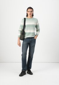 Maglione a maniche lunghe a righe verde e crema, abbinato a jeans dritti blu scuro e sneakers nere. Porta una borsa a tracolla grigio scuro.