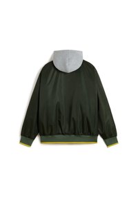 Vans SCRIPTED - Mezisezónní bunda  - dark green