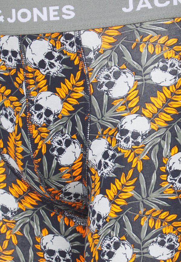 JACHUGO TRUNKS 10 PACK  - Trunks3