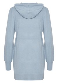 Sweat à capuche bleu clair à manches longues avec poignets et ourlet côtelés, vu de dos sur un fond blanc.