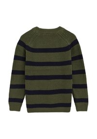 Zaļš un tumši zils svītrains adīts džemperis ar apaļu kakla izgriezumu, garām piedurknēm un teksturētu, ribotu apdari. Attēlots aizmugures skats.