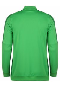 Grünes Sporttrikot mit langen Ärmeln und Stehkragen sowie kontrastierenden dunkelgrünen Seitenpaneelen. Glattes, leichtes Material, keine sichtbaren Logos.