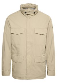 Seleccionado, winter twig