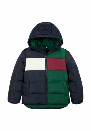 RIPSTOP  - Giacca invernale - ornamental green   rouge   blue